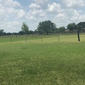 Loves of my life!!!!